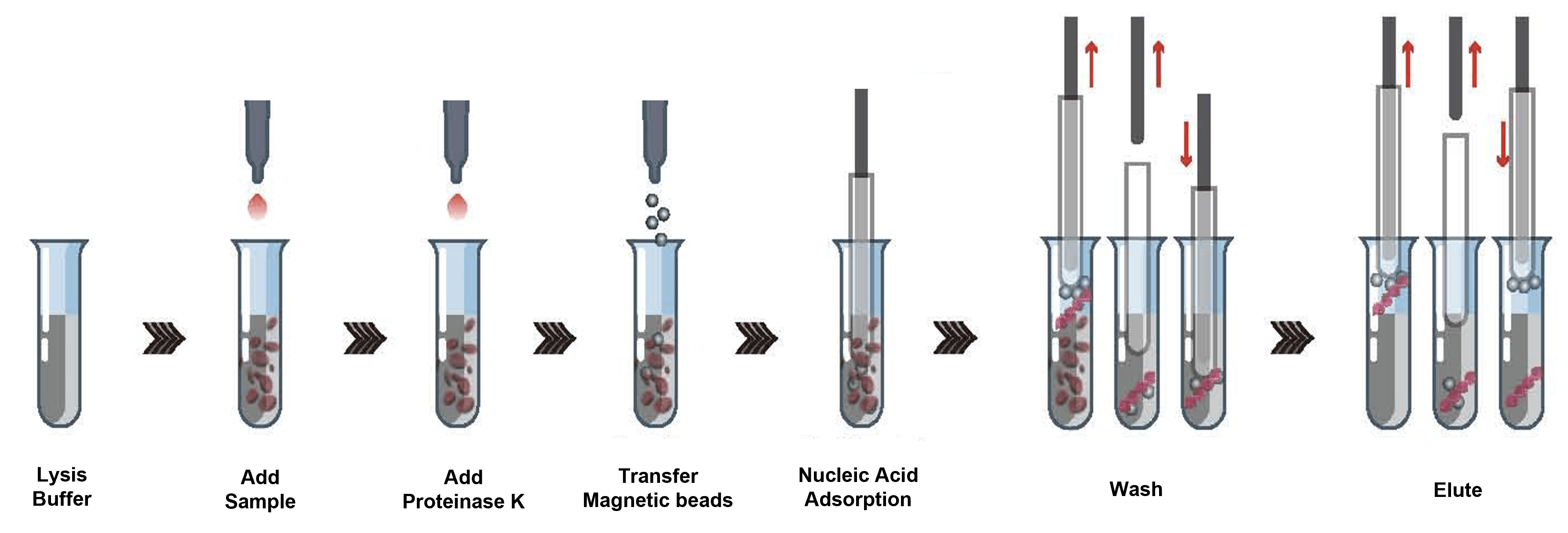 NucleoPURE Nucleic Acid Extraction System